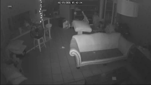 Caméra IP - United States of America