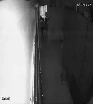 Caméra IP - Türkei