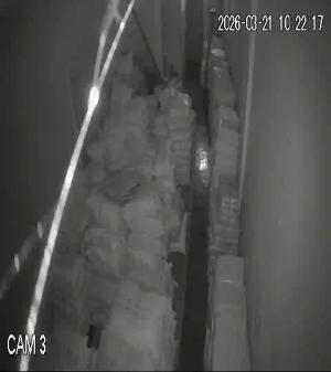 Caméra IP - Indonesia