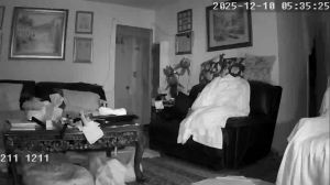 Caméra IP - United States of America