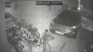 Caméra IP - Südkorea