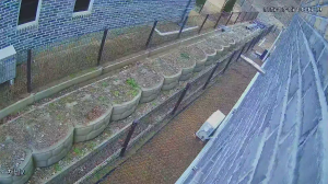 Caméra IP - South Korea