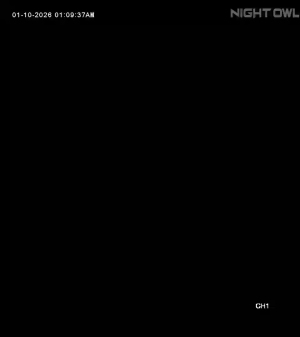 Caméra IP - United States of America