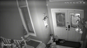 Caméra IP - Canadá