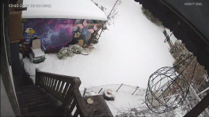 Caméra IP - États-Unis d'Amérique