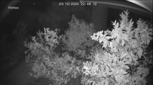 Caméra IP - Nouvelle-Zélande