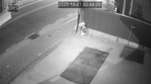 Caméra IP - Südkorea