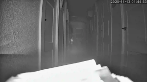 Caméra IP - Espagne