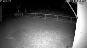 Caméra IP - Spanien