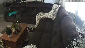 Caméra IP - États-Unis d'Amérique