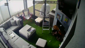 Caméra IP - Vereinigte Staaten von Amerika