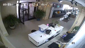 Caméra IP - China