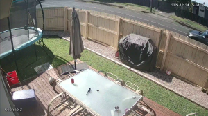 Caméra IP - Neuseeland