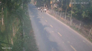 Caméra IP - Vietnam