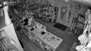 Caméra IP - Russische Föderation