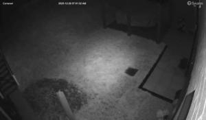 Caméra IP - Royaume-Uni