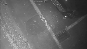 Caméra IP - South Korea