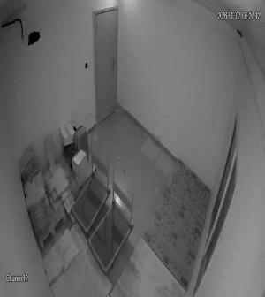 Caméra IP - Saudi Arabia