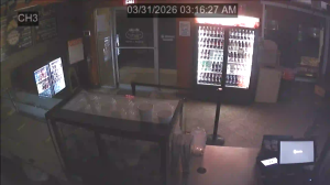 Caméra IP - United States of America