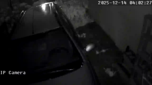 Caméra IP - Argentina