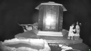 Caméra IP - États-Unis d'Amérique