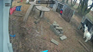 Caméra IP - Vereinigte Staaten von Amerika