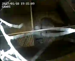 Caméra IP - Netherlands