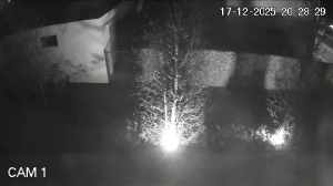 Caméra IP - Belgien