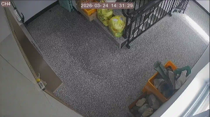 Caméra IP - South Korea