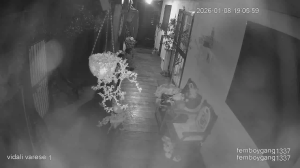 Caméra IP - Pays-Bas