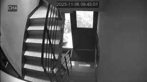 Caméra IP - South Korea