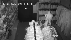 Caméra IP - China