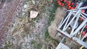 Caméra IP - Türkiye