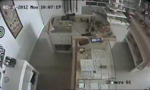 Caméra IP - Südafrika