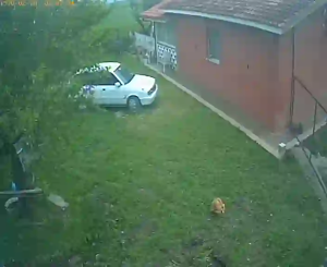 Caméra IP - United States of America