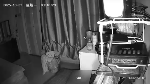 Caméra IP - Singapur