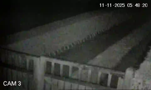 Caméra IP - Belgium