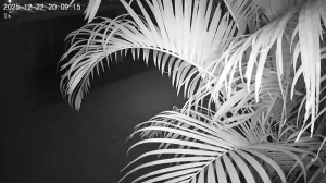 Caméra IP - Frankreich