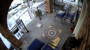 Caméra IP - United States of America