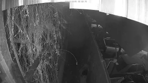 Caméra IP - Thailand