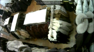 Caméra IP - Russische Föderation