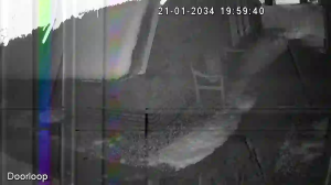 Caméra IP - Paesi Bassi