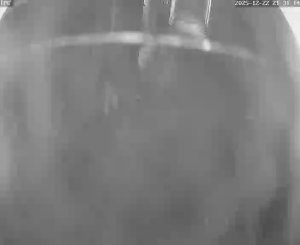 Caméra IP - Vietnam