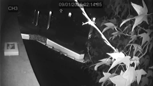 Caméra IP - Mexique