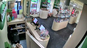 Caméra IP - Russian Federation