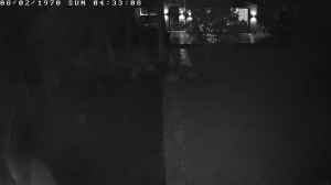 Caméra IP - Russian Federation