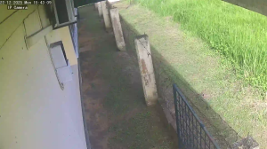 Caméra IP - Suriname