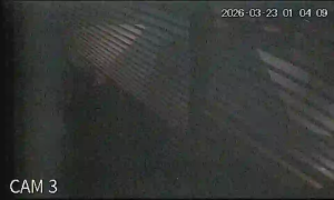 Caméra IP - Singapore