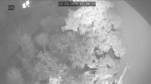 Caméra IP - Portugal