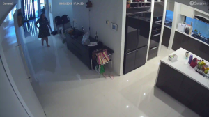 Caméra IP - Australia